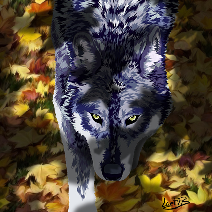 loup bleu à l'ombre des arbres